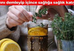 Çayını yapıp 3 gün için! Vücudu dip köşe temizliyor: İltihabın kökünü kazıyor, solunumu rahatlatan doğal antibiyotik