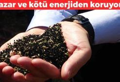 Halk arasında nazar otu olarak biliniyor: Negatif enerjiden koruyor! Her evde var: Ceketinizin cebinize 3 tane koyun