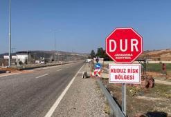 Sahipli köpek kuduz çıktı, belde karantinaya alındı