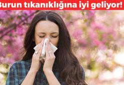 Bahar alerjisi olanlar denesin! Tıkalı burnu anında açıyor: Nefes almayı kolaylaştırıyor