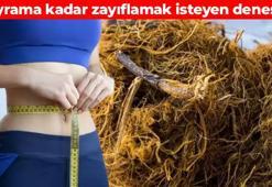 Bayrama kadar bel ve basen bölgenizi eritin! 1 haftada 5 kilo verdiriyor: Sabah akşam bardak bardak için, vücutta yağdan eser bırakmıyor