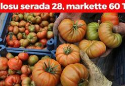 Turfanda hasadı başladı! Kilosu 28 TL: Suyunu bardak bardak içince kolesterolü damardan kazıyor, doğanın C vitamini kralı