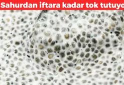 Yemeklerinize kaşık kaşık ekleyin! Sahurdan iftara kadar susuzluğu alıyor: Tam bir lif ve omega3 deposu