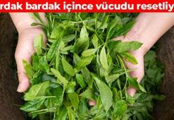 Rezene ile karıştırıp için: Vücuda C vitamini yüklüyor, sindirimi makine gibi çalıştırıyor, insülini baskılıyor