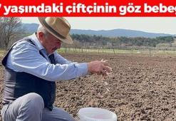 77 yaşındaki çiftçinin geçim kaynağı! Kolesterolü bitirip daralan damarları genişletiyor! Kan şekerini dengeleyen doğal ilaç