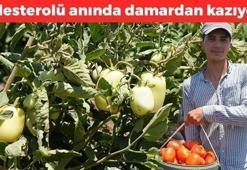 Kilosu 5 TL: Suyunu bardak bardak içince kolesterolü damardan kazıyor, doğanın C vitamini kralı