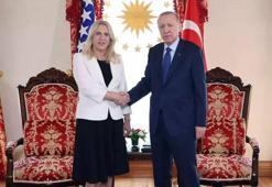 Cumhurbaşkanı Erdoğan, Jelka Sviyanoviç'i kabul etti