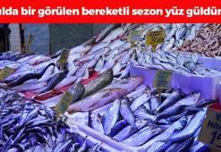 7 yılda bir görülen bereketli sezon! Kilosu 150 TL'den kapış kapış satılıyor: B12 ve D vitamini depolarını zirveye taşıyor, kemiği cilde içten kolajen yüklüyor!