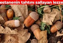 Kestanenin en büyük rakibi! Siirt'in kırsal kesiminde kendiliğinden yetişiyor: Bağırsakları motor gibi çalıştırıyor, doğal şeker ilacı
