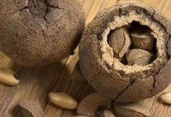 Güney Amerika’dan ülkemize geldi! Kalp hastalığı olan avuç avuç tüketsin: Kalbi tertemiz yapıyor, vücuttaki enflamasyonu azaltıyor