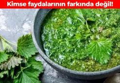 Böbrekleri dip köşe temizliyor! İltihaplı hastalıkların kökünü kazıyor: Kan dolaşımını 2 kat hızlandırıyor