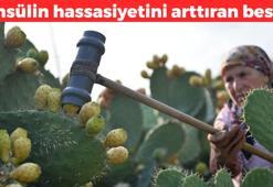 Yer yemez kan şekerini düzenliyor! Diyabet hastalarının doğal ilacı: Damarlardaki tıkanıklığı geçiriyor, insülin hassasiyetini artırıyor
