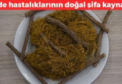 Osmanlı'dan bu yana tüketiliyor! Kan şekerini dengeliyor: Şerbetini yapıp için