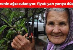 Tezgahta gören kapış kapış alıyor! Kilosu 400 TL'ye düştü: Tıkalı damarları yağ çözücü gibi açıp böbrekleri makine gibi çalıştırıyor, C vitamini kralı!