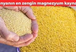 Dünyanın en ucuz süper gıdası meğer bu besinmiş! Damarda biriken kolesterole yağ çözücü etkisi yaratıyor şekeri dengeliyor