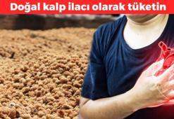 Kanserle mücadelede en iyisi! Kalbin tıkır tıkır çalışmasını sağlıyor: Bağırsak florasını dengeleyip, kan şekerini sabitliyor
