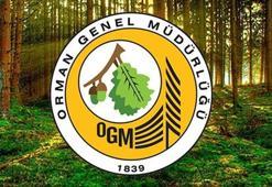 ORMAN GENEL MÜDÜRLÜĞÜ PERSONEL ALIMI 2025: OGM 4 bin 500 işçi alımı sonuçları ne zaman, açıklandı mı? OGM işçi alımı kura sonuçları