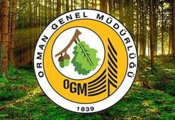 OGM İŞÇİ ALIMI KURA CANLI YAYIN İZLE! Orman Genel Müdürlüğü 4 bin 500 işçi alımı kura sonuçları sorgulama ve çekiliş ekranı