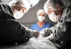 Domuzdan karaciğer nakli