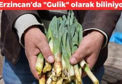Erzincan’da “Doğal antibiyotik” olarak biliniyor! Kilosu 100 TL’den tezgahlarda yerini aldı: Kan şekerini ok gibi sabitliyor, iltihabın kökünü kurutuyor