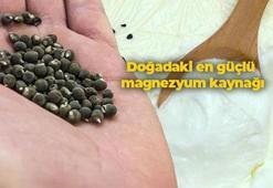 Kimse tüketmek istemiyor ama şifa deposu! Yoğurdun içine koyup kaşık kaşık tüketin: Doğadaki en güçlü magnezyum kaynağı
