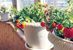 Balkonlar bahara hazır mı?