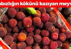 Halk arasında göbekli dut olarak biliniyor! Haşlayıp yiyince bağırsakları motor gibi çalıştırıyor, doğal mide ilacı! Böbrekleri diyalizin pençesinden kurtarıyor