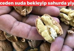 Kabuğunu kırıp suda bekletin! Sağlıklı yağ deposu: Günde 1 tane yiyenler 10 yıl hastalanmıyor, kan basıncını dengeliyor