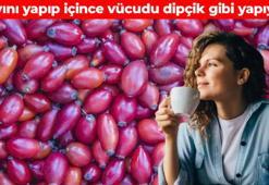 Dağlardan toplanıyor, yiyen doktor yüzü görmüyor! Vücuttaki iltihabı kurutuyor, kan şekerini şak diye dengeliyor, çayını demleyip bardak bardak için