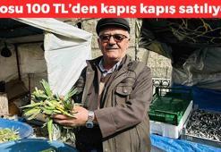 Elazığ'da hasadı başladı! Kilosu 100 TL: Şeker hastalığının doğal ilacı olarak biliniyor, pişirip yiyenin ömrü uzuyor