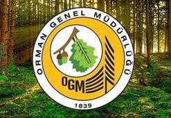 OGM KURA SONUÇLARI | OGM işçi alımı kura sonuçları açıklandı mı, ne zaman açıklanacak? OGM işçi alımı kura sonuçları ekranı