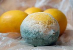 Limon neden küflenir? Limonu küflenmeden uzun süre muhafaza etmenin yolları nelerdir?
