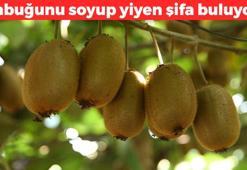 Kabuğunu soyup yiyen bir daha kabız olmuyor! Bağırsakları motor gibi çalıştırıyor: Şişkinliğin ve gazın kökünü kurutuyor