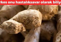 Kandaki iltihabı kazıyıp atıyor! 500 yıllık tarif: Antibiyotikten daha etkili