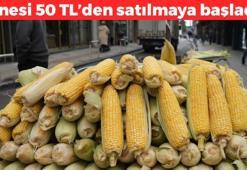Tezgahta yerini aldı! Közde 60, haşlanmışı 50 TL'den satılıyor! Buruş buruş olmuş damarları rahatlatıyor, kan şekerini terazi gibi dengeliyor