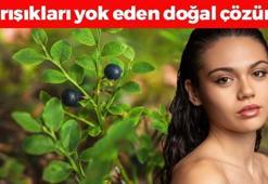 Yaşlanmanın en kesin çaresi! Avuç avuç yiyin: Cilde içten kolajen yükleyip kırışıkları santim santim açıyor, tek gecede 10 yaş gençleştiriyor!