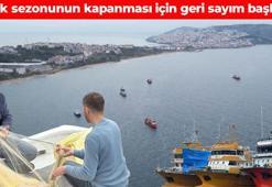 Sezonun kapanmasına sayılı günler kaldı! Karadeniz'in hırçın sularından sofralara geliyor: Bu yıl son derece verimli geçti