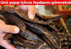 Keçiboynuzunun kürünü yapın! Savunma mekanizmasını harekete geçiriyor: Bağırsakları makine gibi çalıştırıyor