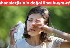 Alerjiyi ilaçsız azaltıyor! Polen, toz ve bahar alerjisi olanlar denesin: Kaşıntı, kızarıklık ve tıkanıklıktan eser bırakmıyor