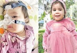 Böyle gitti, böyle döndü