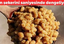Şeker yerine bunu tüketin! Tadında hiç fark yok: Kana saniyesinde karışıp demir depolarını dolduruyor