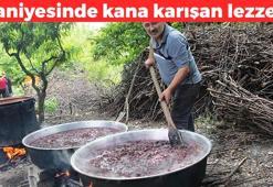 Saniyesinde kan yapıyor! Sadece 3 besinle kan depolarını dolduruyor: 1 kaşığı demir depolarını dolduruyor