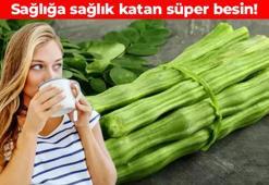 300'den fazla hastalığa şifa oluyor! Dünyanın süper gıdası: Çayını yapıp içine ömrü uzatıyor