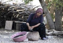 Halk arasında 'kendir tohumu' olarak da biliniyor! Kahvesini yapıp bardak bardak için: Vücuda demir, çinko ve magnezyum yüklüyor