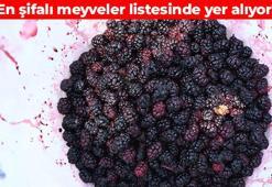 Avuç avuç yiyince demiri fırlatıyor! Vücudu C vitamini ve kolajen deposuna çeviriyor: Damarları dip köşe temizliyor
