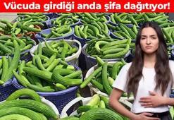 Turşusunu kurup yıl boyu yiyin! Doğal probiyotik kaynağı: Bağırsakları motor gibi çalıştırıp kabızlığa son veriyor