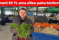 Doğada kendi kendine yetişiyor, yok satıyor! Demeti 30 TL: Şişkinlik, gaz ve hazımsızlığın kökünü kurutuyor! Doğal mide ilacı