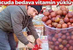 Japonlar avuç avuç yiyor! Türkiye'de yetişiyor: Kilosu 80 lira, vücuda bedava vitamin yüklüyor