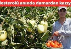 Pazarda kilosu 20 TL'den satılıyor! Suyunu bardak bardak içince kolesterolü damardan kazıyor, doğanın C vitamini kralı