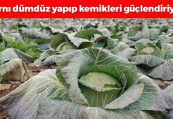 Bağırsakları motor gibi çalıştırıp karnı dümdüz yapıyor! Demir deposu, damarları yağ çözücü gibi açıyor!